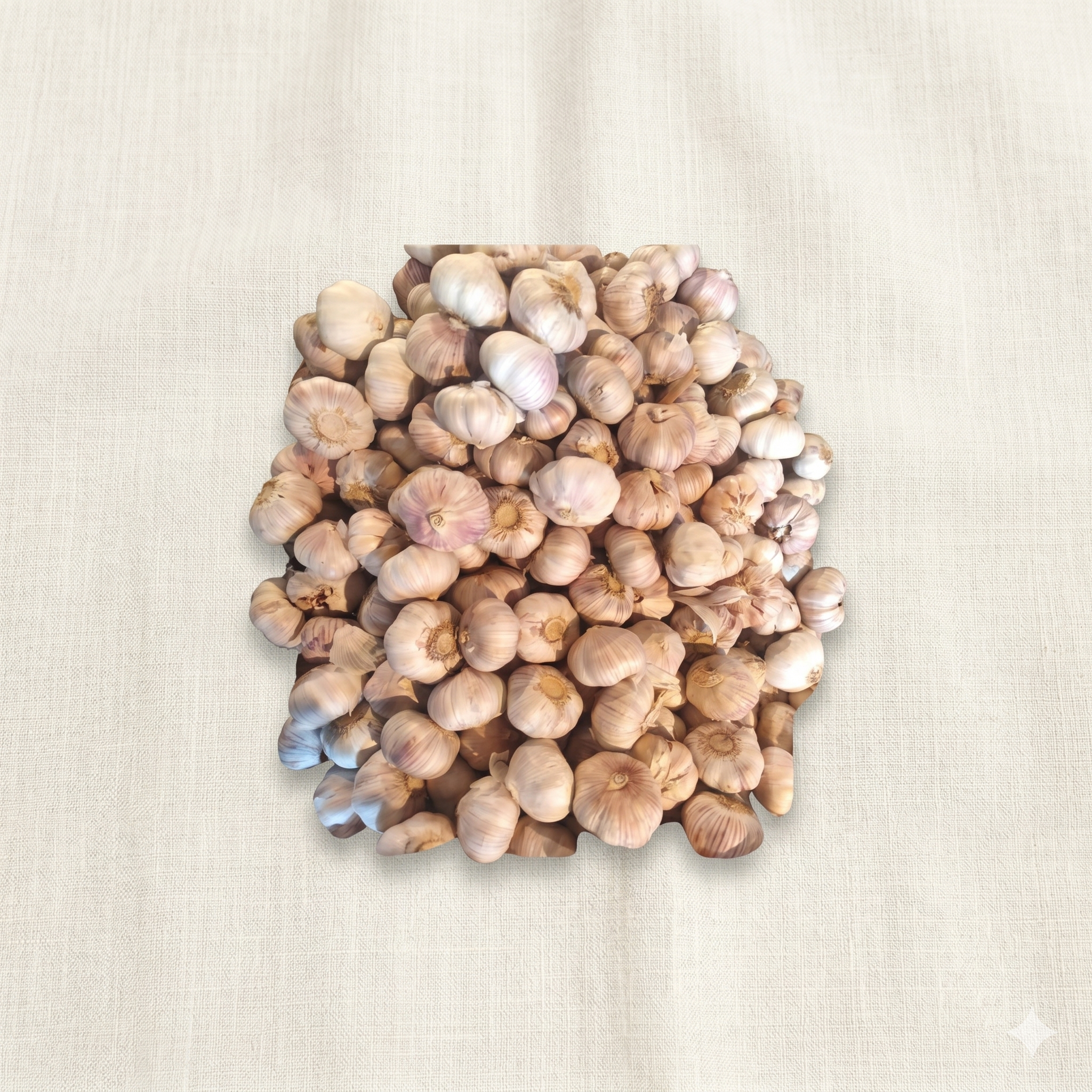 Bawang Putih